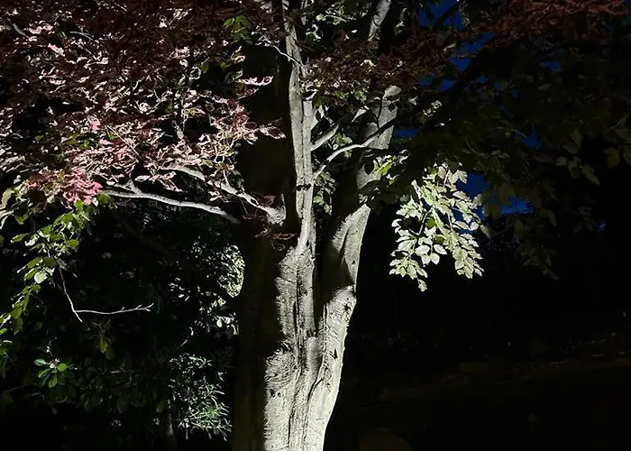Holiday home I Faggi Rossi - Red Beech Trees Como