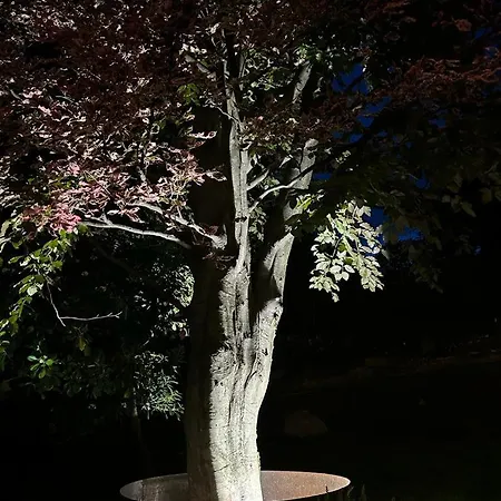 別荘 I Faggi Rossi - Red Beech Trees コモ