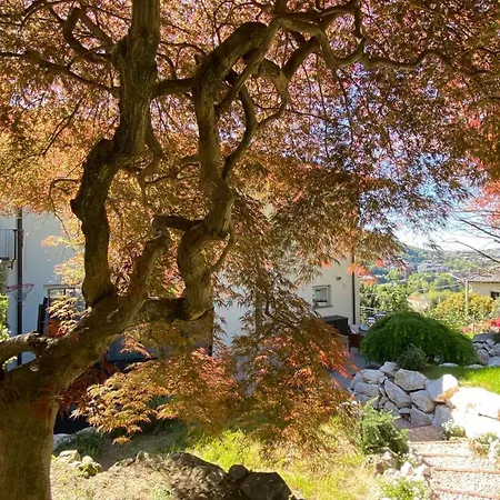別荘 I Faggi Rossi - Red Beech Trees コモ